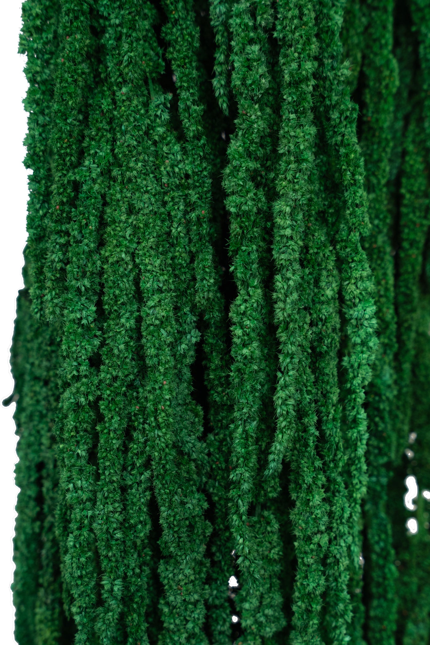 Crenguta conservata de Amaranthus H70-80 cm verde smarald deschis RR54