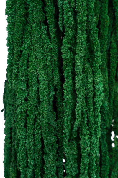 Crenguta conservata de Amaranthus H70-80 cm verde smarald deschis RR54