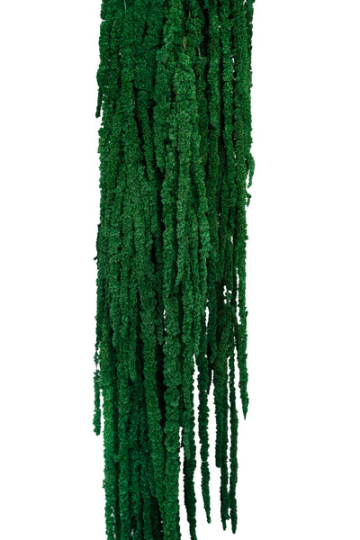 Crenguta conservata de Amaranthus H70-80 cm verde smarald deschis RR54