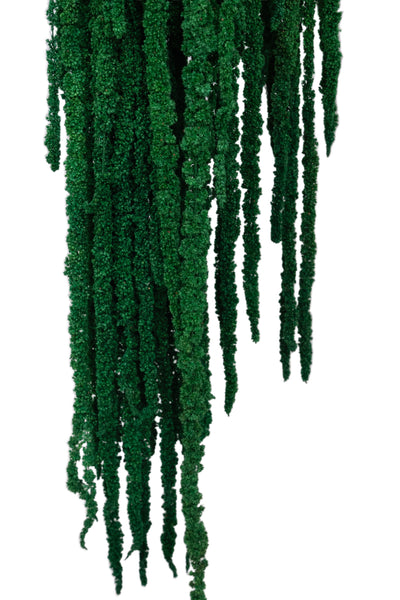 Crenguta conservata de Amaranthus H70-80 cm verde smarald deschis RR54