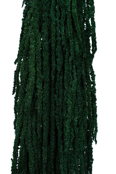 Crenguta conservata de Amaranthus H70-80 cm verde smarald RR1