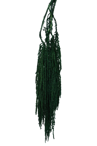 Crenguta conservata de Amaranthus H70-80 cm verde smarald RR1
