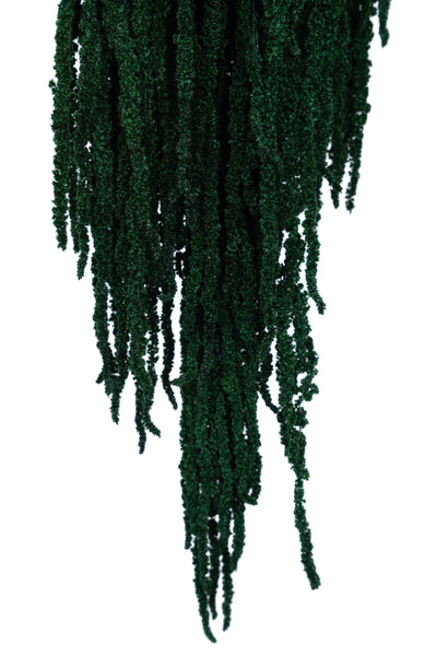 Crenguta conservata de Amaranthus H70-80 cm verde smarald RR1