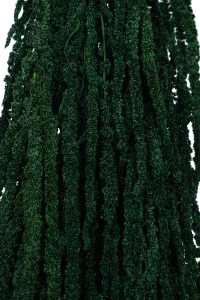 Crenguta conservata de Amaranthus H70-80 cm verde smarald RR1