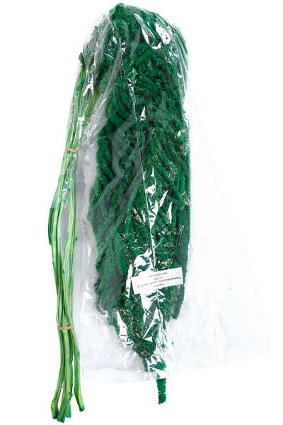 Crenguta conservata de Amaranthus H70-80 cm. verde smarald RR2