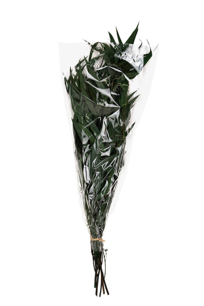 Crenguta conservata de Eucalipt nicoly H40-80 cm verde deschis