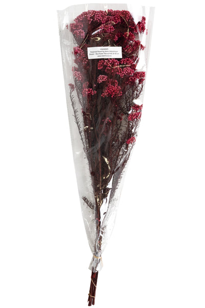 Crenguta conservata de Helychrisium diosmi H60-70 cm roz