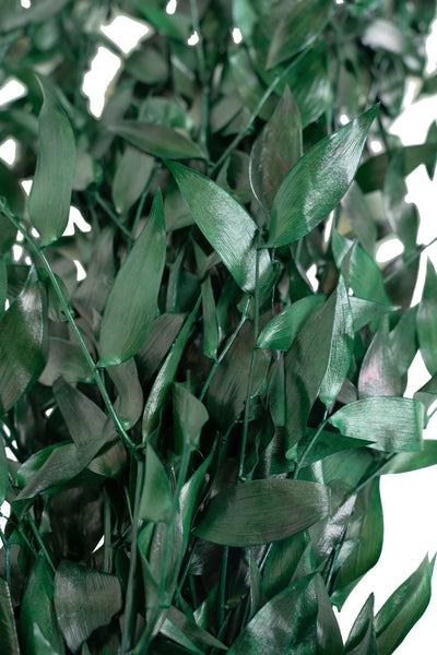 Crenguta conservata de Ruscus H40-80 cm. verde smarald