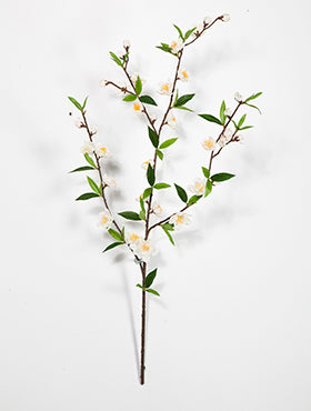 Crenguta cu flori de Cires H64 cm alb