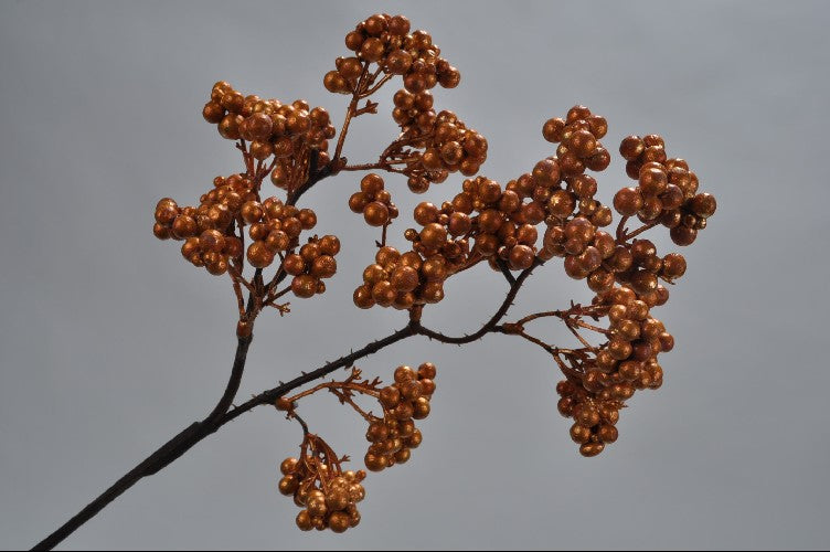 Crenguta cu fructe ce padure 34 cm cupru DE