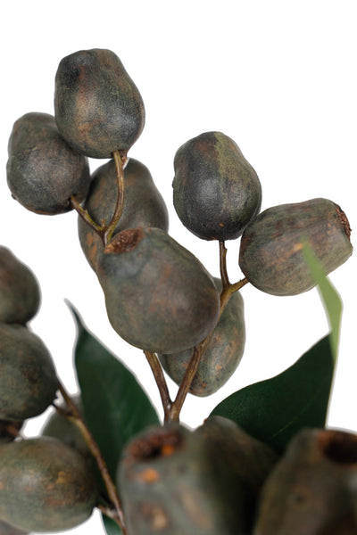 Crenguta cu fructe de Eucalypt 48 cm maro