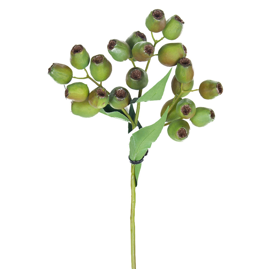 Crenguta cu fructe de Eucalypt 48 cm verde