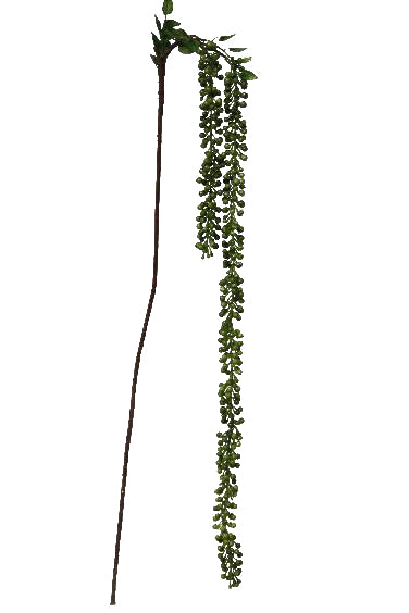 Crenguta cu Fructe de Padure 58 cm HO verde