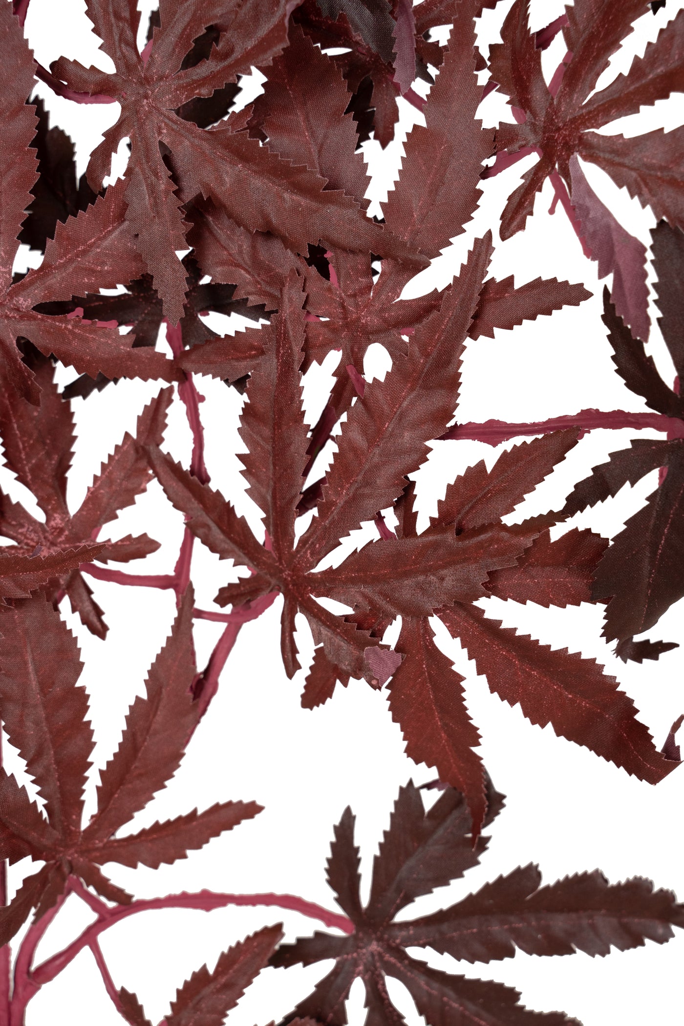 Crenguta cu frunze de Artar japonez 68 cm burgundy TP