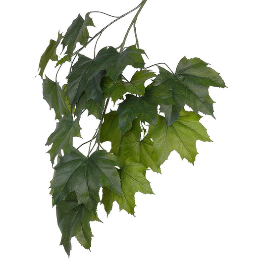 Crenguta cu frunze de Artar japonez 80 cm verde