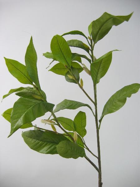 Crenguta artificiala cu frunze de Magnolia inaltime O verde