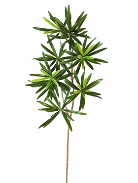 Crenguta cu frunze de Podocarpus 53 cm verde