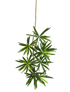 Crenguta cu frunze de Podocarpus 53 cm verde