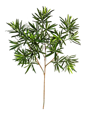 Crenguta cu frunze de Podocarpus 66 cm verde