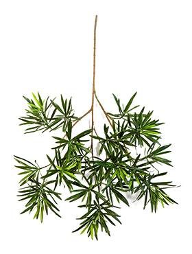 Crenguta cu frunze de Podocarpus 66 cm verde