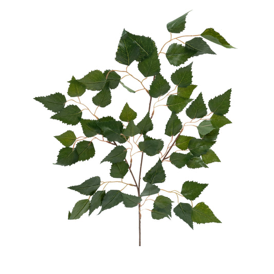 Crenguta de Mesteacan H70 cm verde