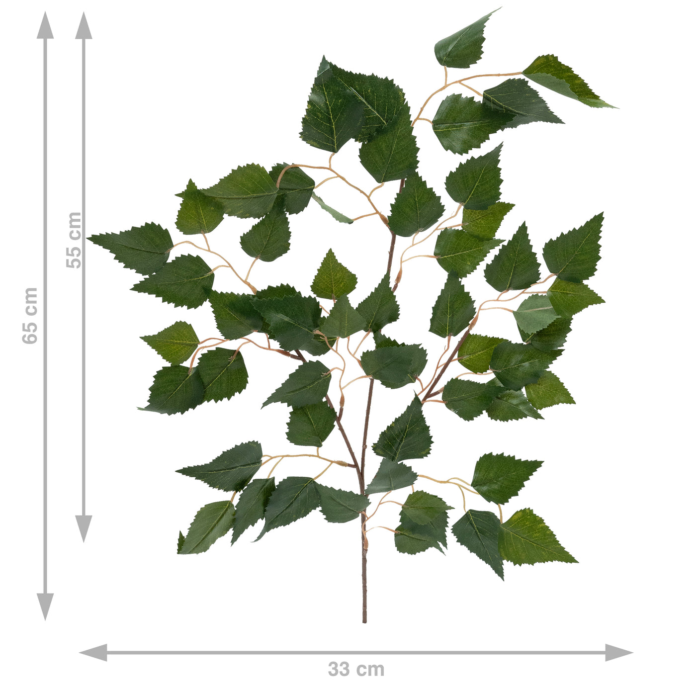 Crenguta de Mesteacan H70 cm verde