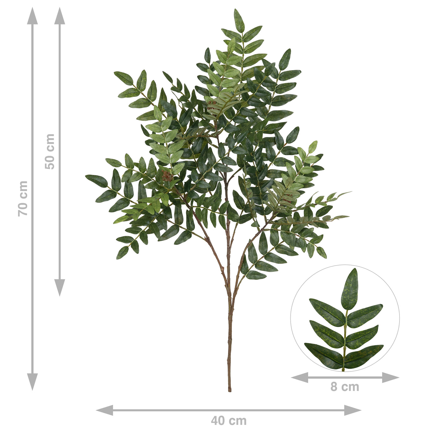 Crenguta de salcam 73 cm