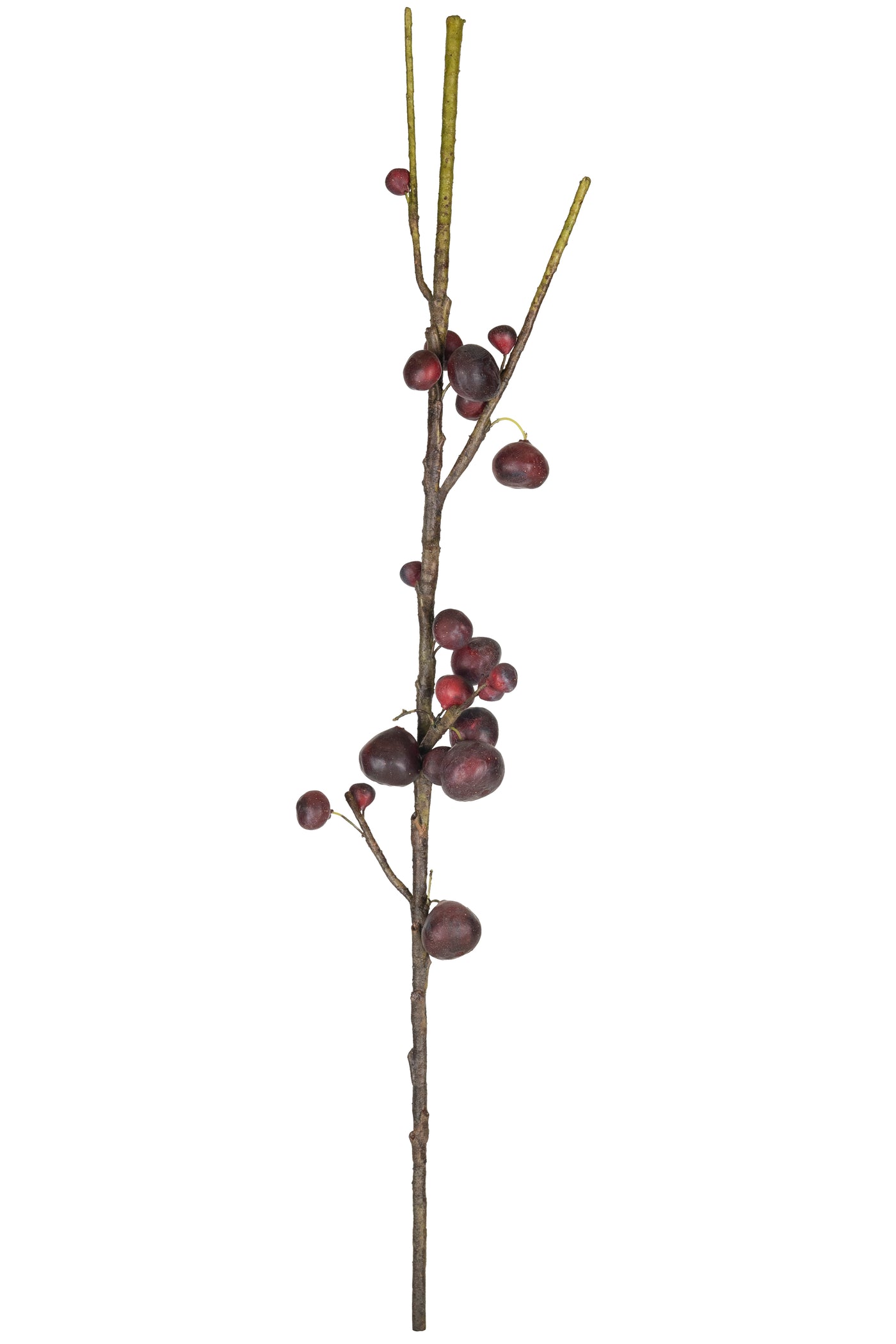 Crenguta de Smochin cu fructe 82 cm verde