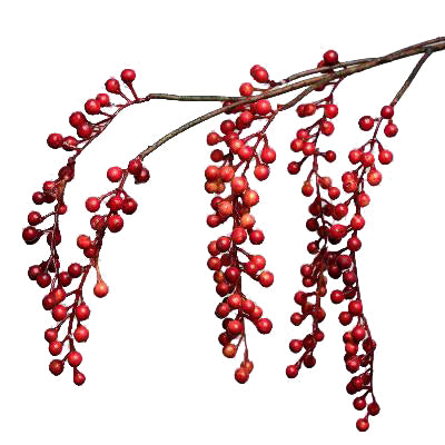 Crenguta decorativa Berry 65 cm HO portocaliu