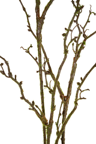 Crenguta decorativa maro H140 cm