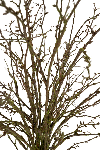 Crenguta decorativa maro H140 cm