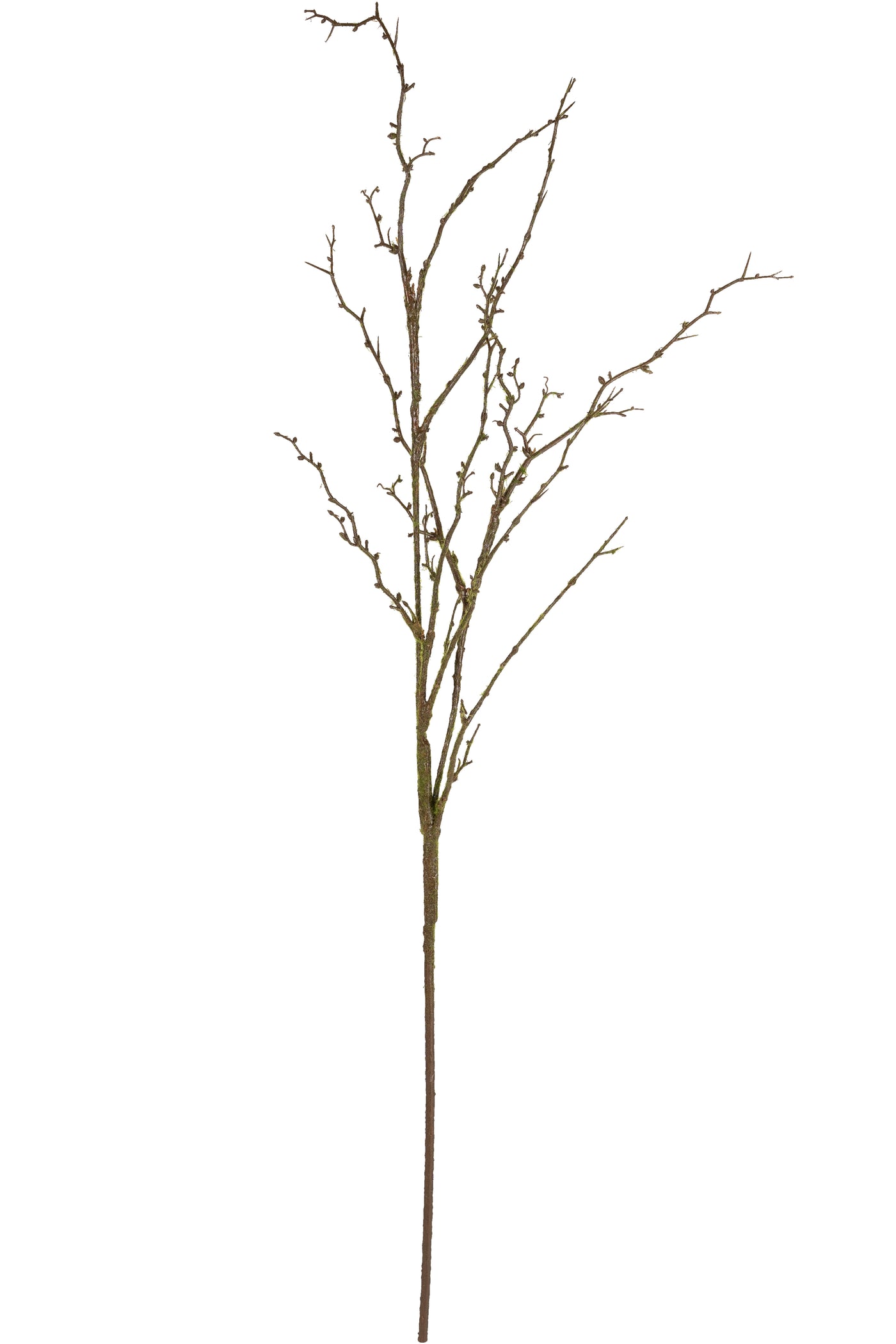 Crenguta decorativa maro H140 cm