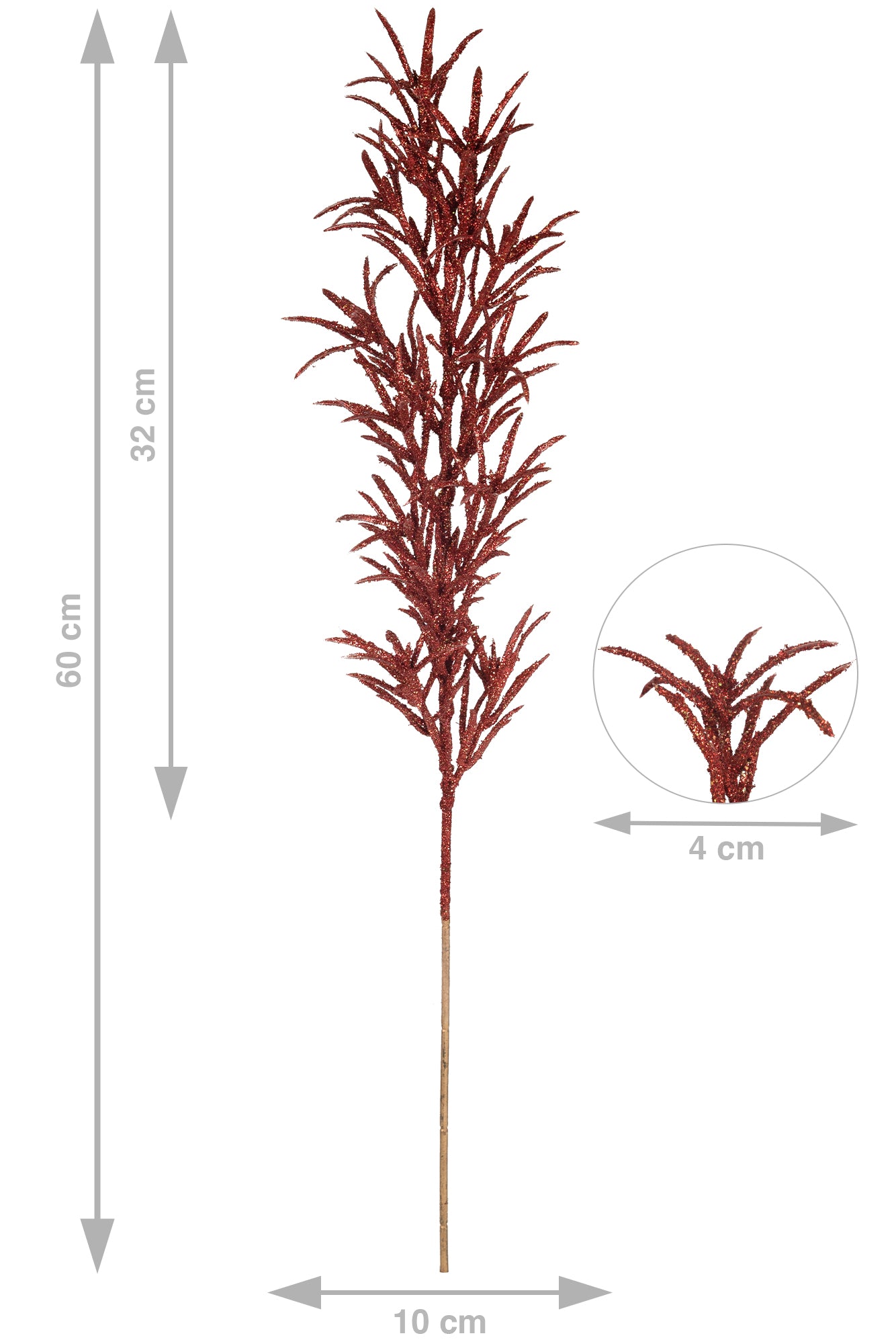 Crenguta Dracaena 60 cm rosu