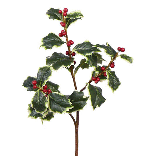 Crenguta Ilex 63 cm rosu