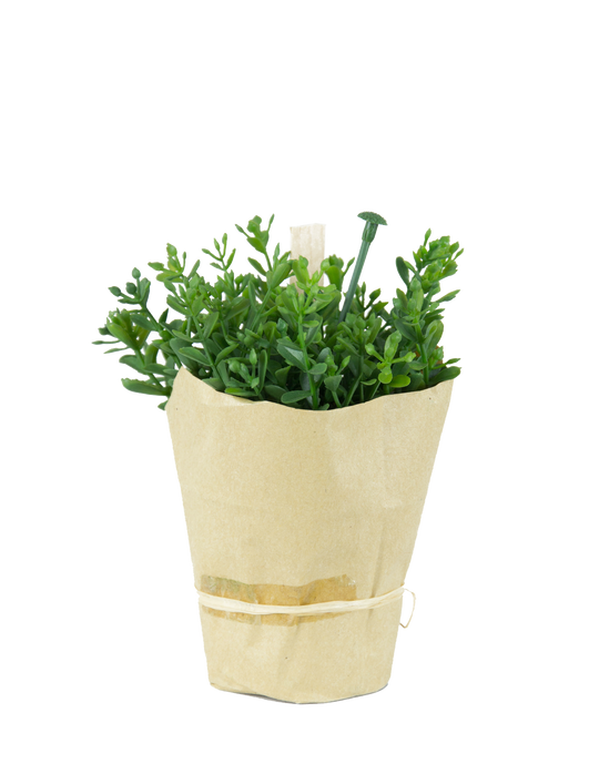 Cress artificial in hartie H12 cm