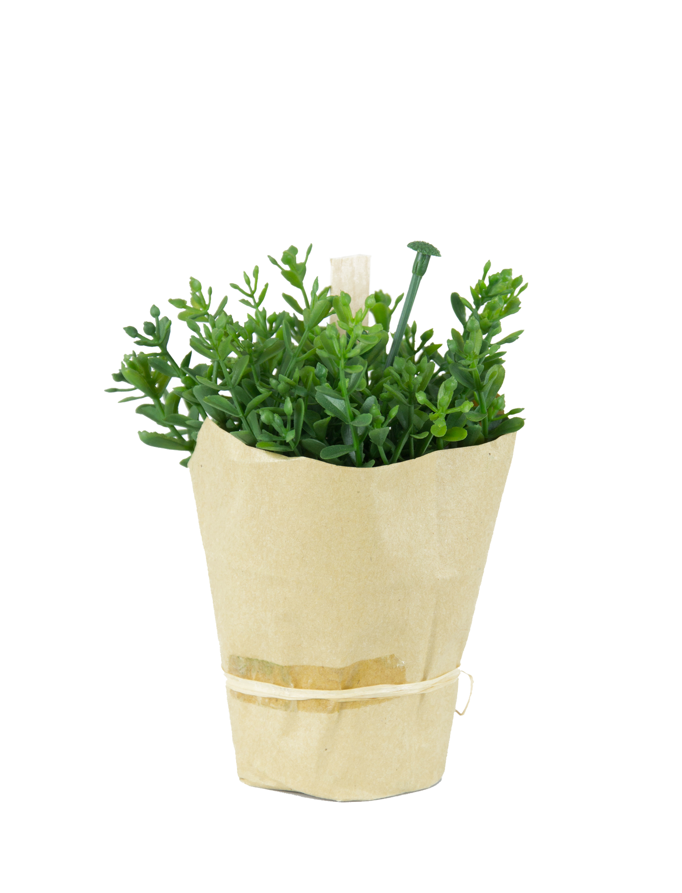 Cress artificial in hartie H12 cm