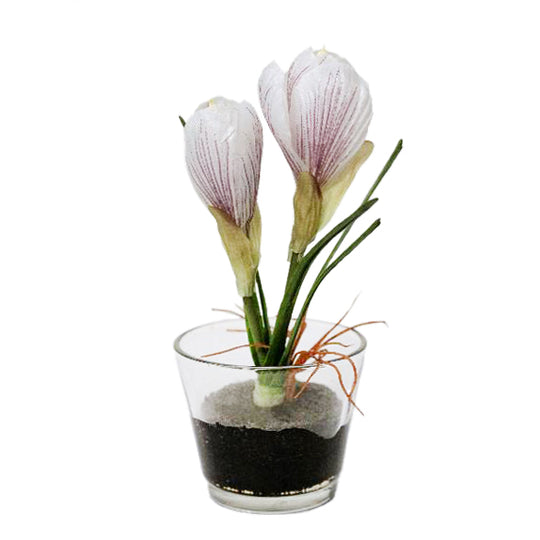 Crocus artificial alb in vas de sticla 17 cm HO