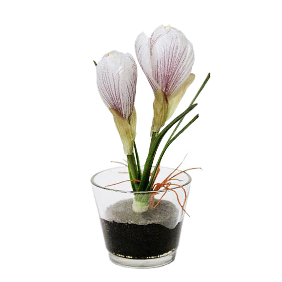 Crocus artificial alb in vas de sticla 17 cm HO