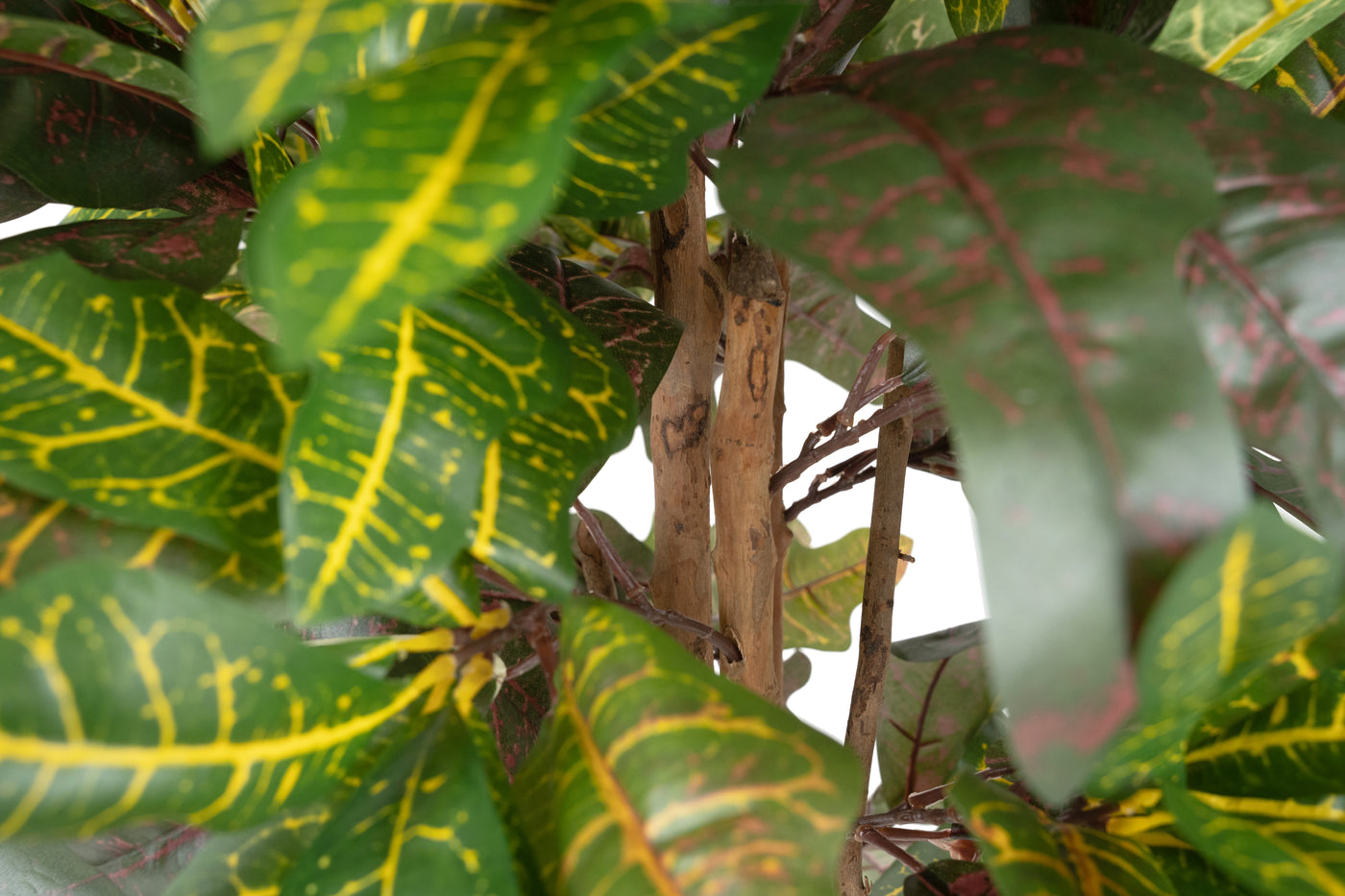 Copac artificial H100cm Croton petra cu 132 frunze