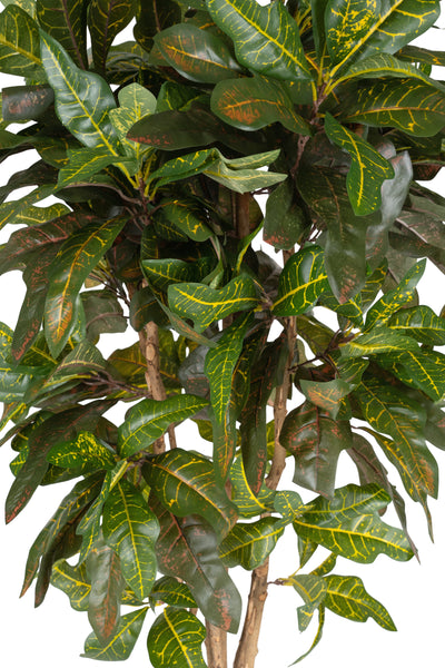 Croton artificial petra cu 330 frunze H150 cm