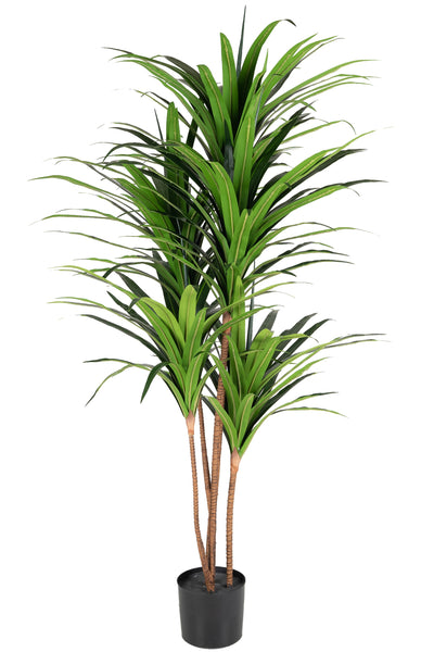 Dracaena artificial marginata cu 180 frunze verzi H150 cm