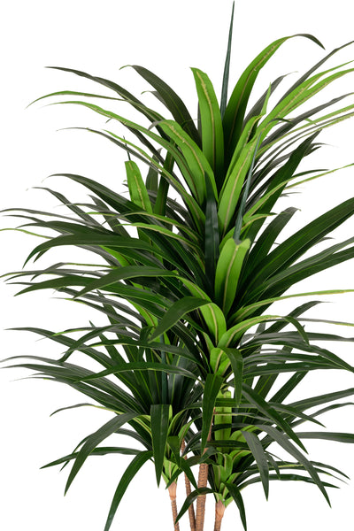 Dracaena artificial marginata cu 180 frunze verzi H150 cm