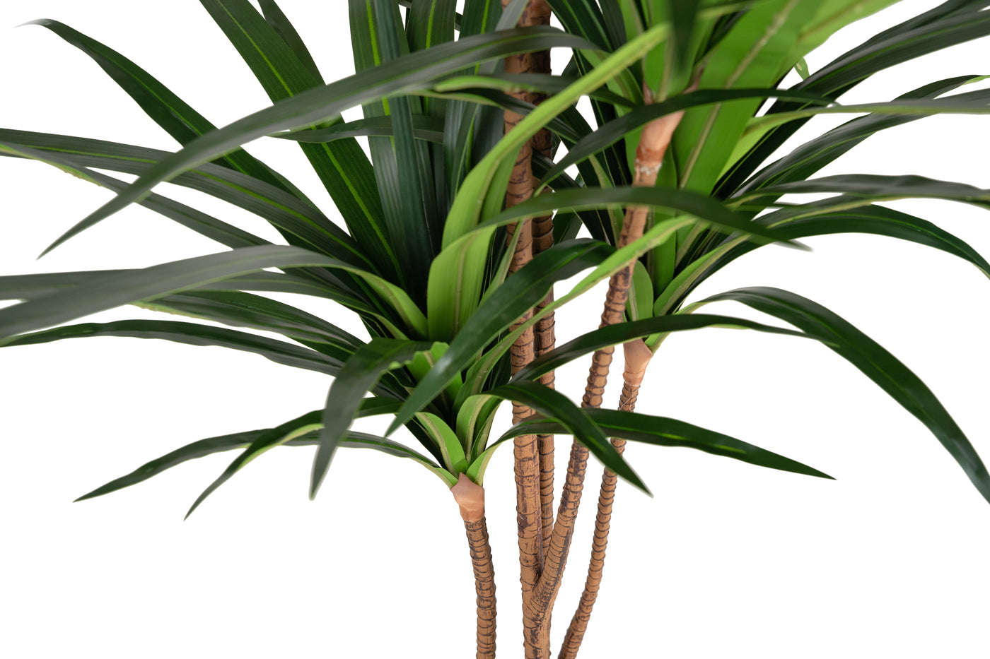 Dracaena artificial marginata cu 180 frunze verzi H150 cm