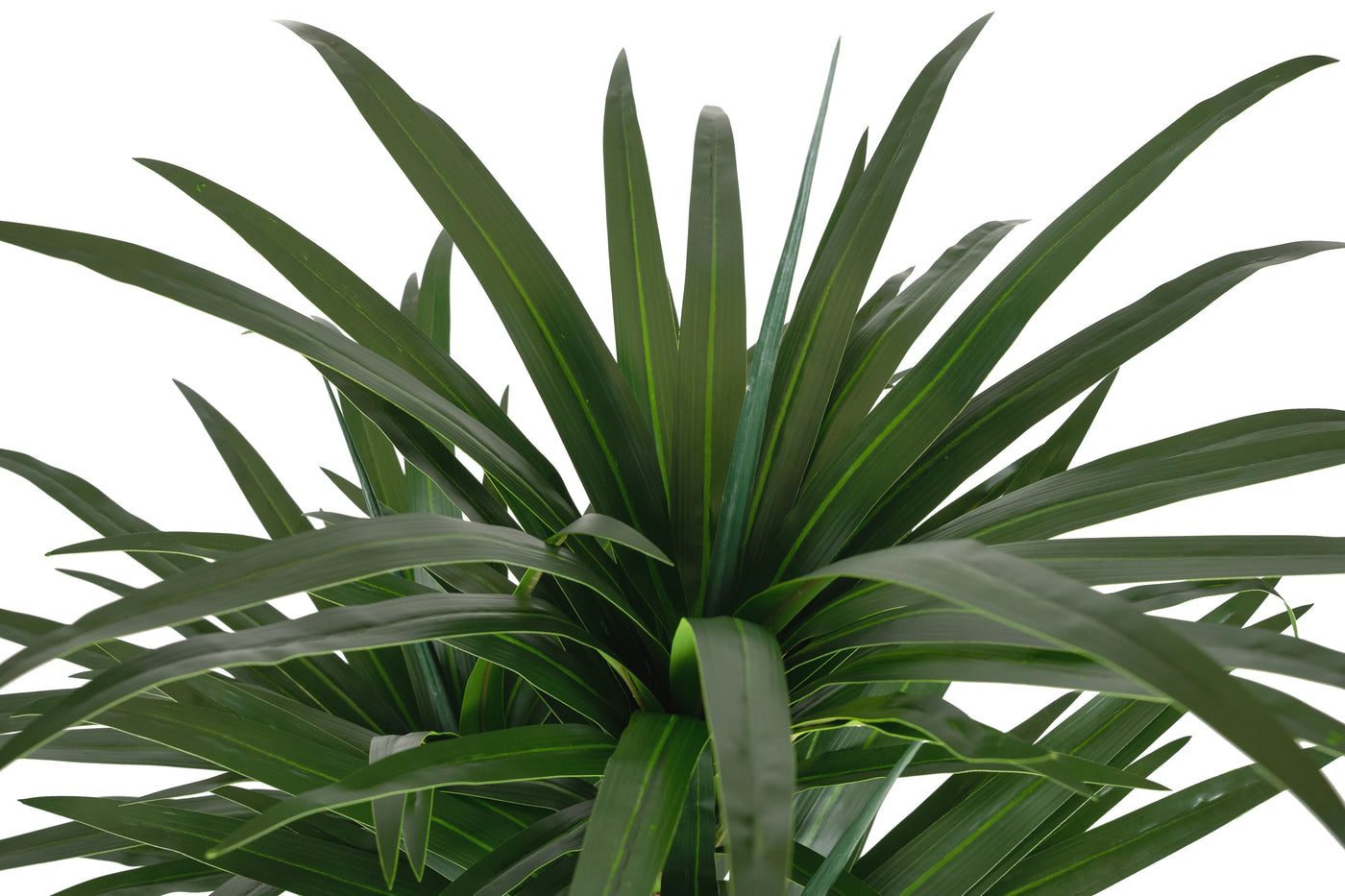 Dracaena artificial marginata cu 180 frunze verzi H150 cm