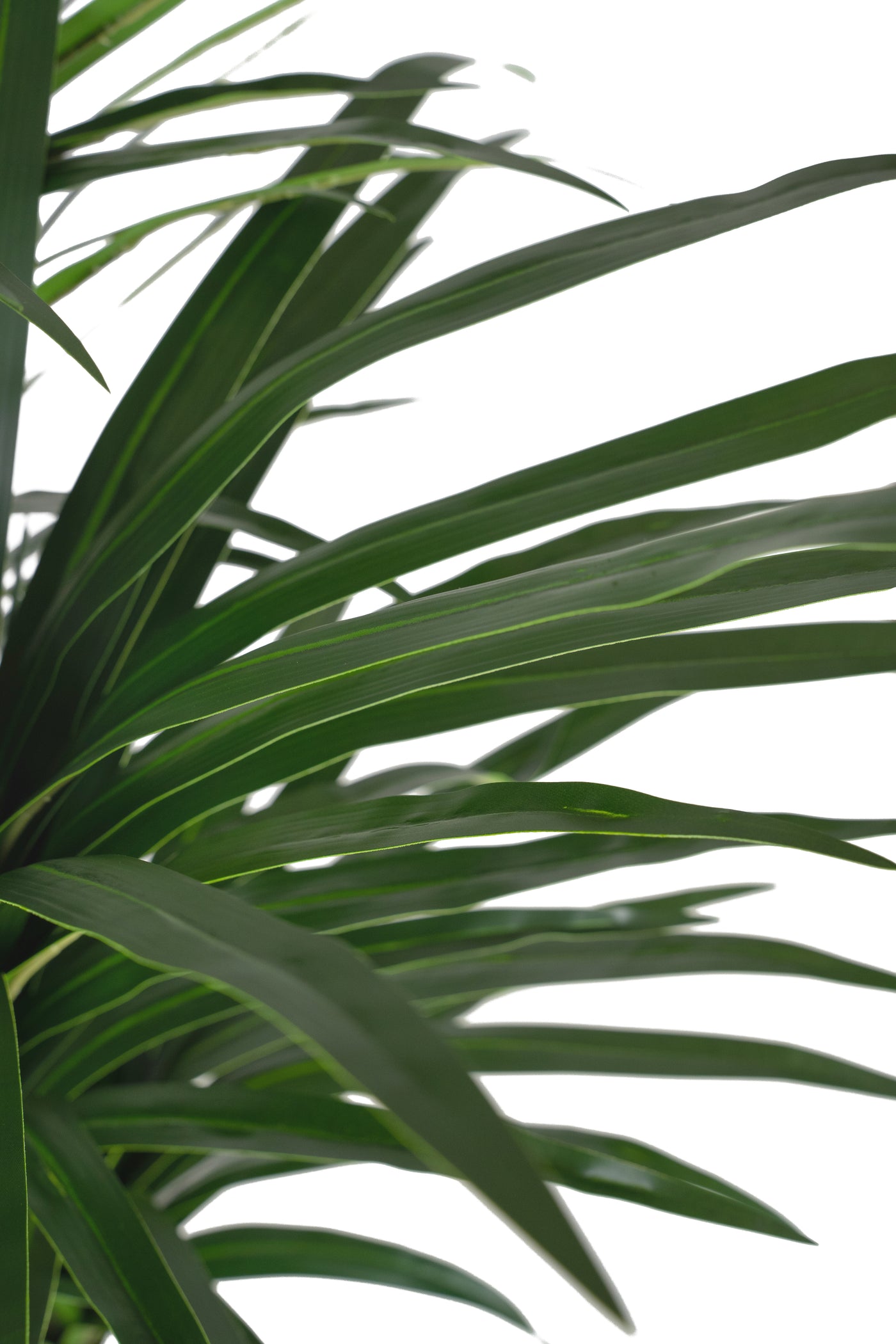 Dracaena artificial marginata cu 180 frunze verzi H150 cm