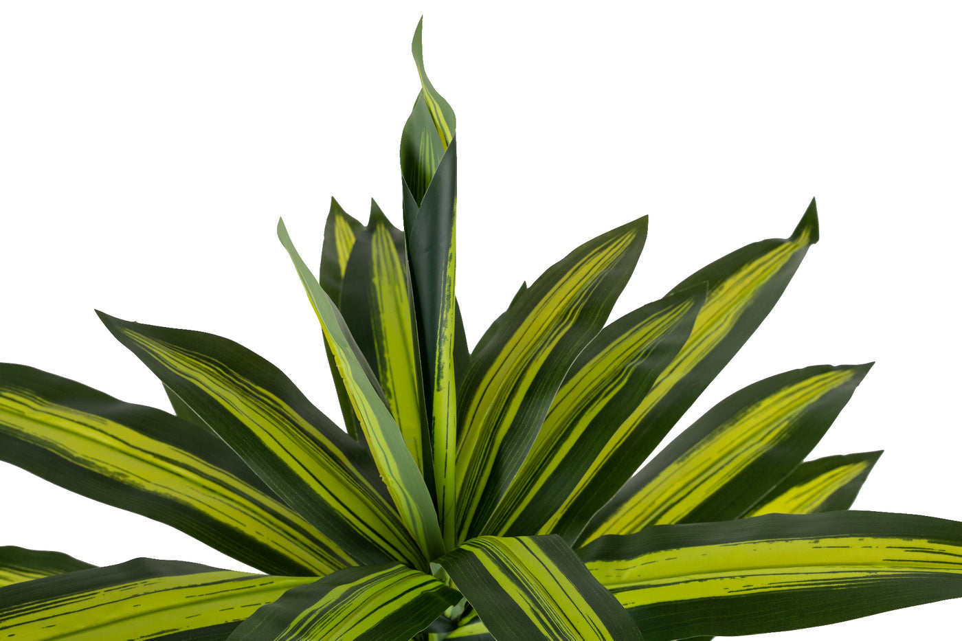 Dracaena artificiala cintho cu 31 frunze verzi D80xH110 cm