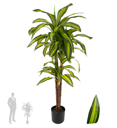 Dracaena artificiala cintho cu 54 frunze H120cm