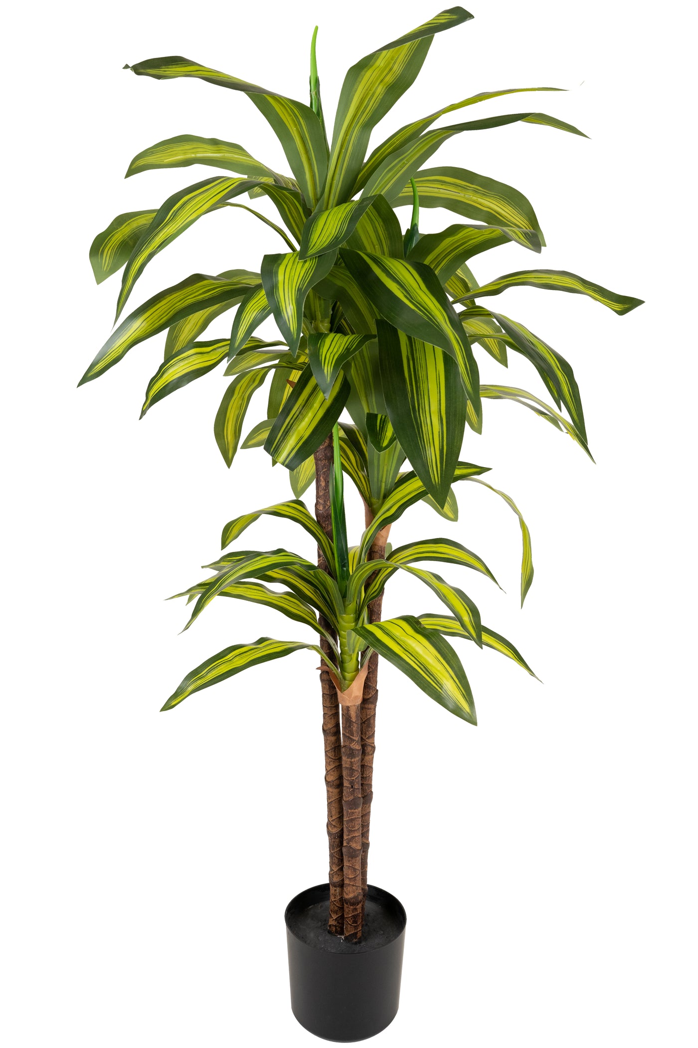 Dracaena artificiala cintho cu 54 frunze H120cm