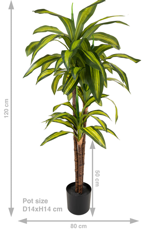 Dracaena artificiala cintho cu 54 frunze H120cm