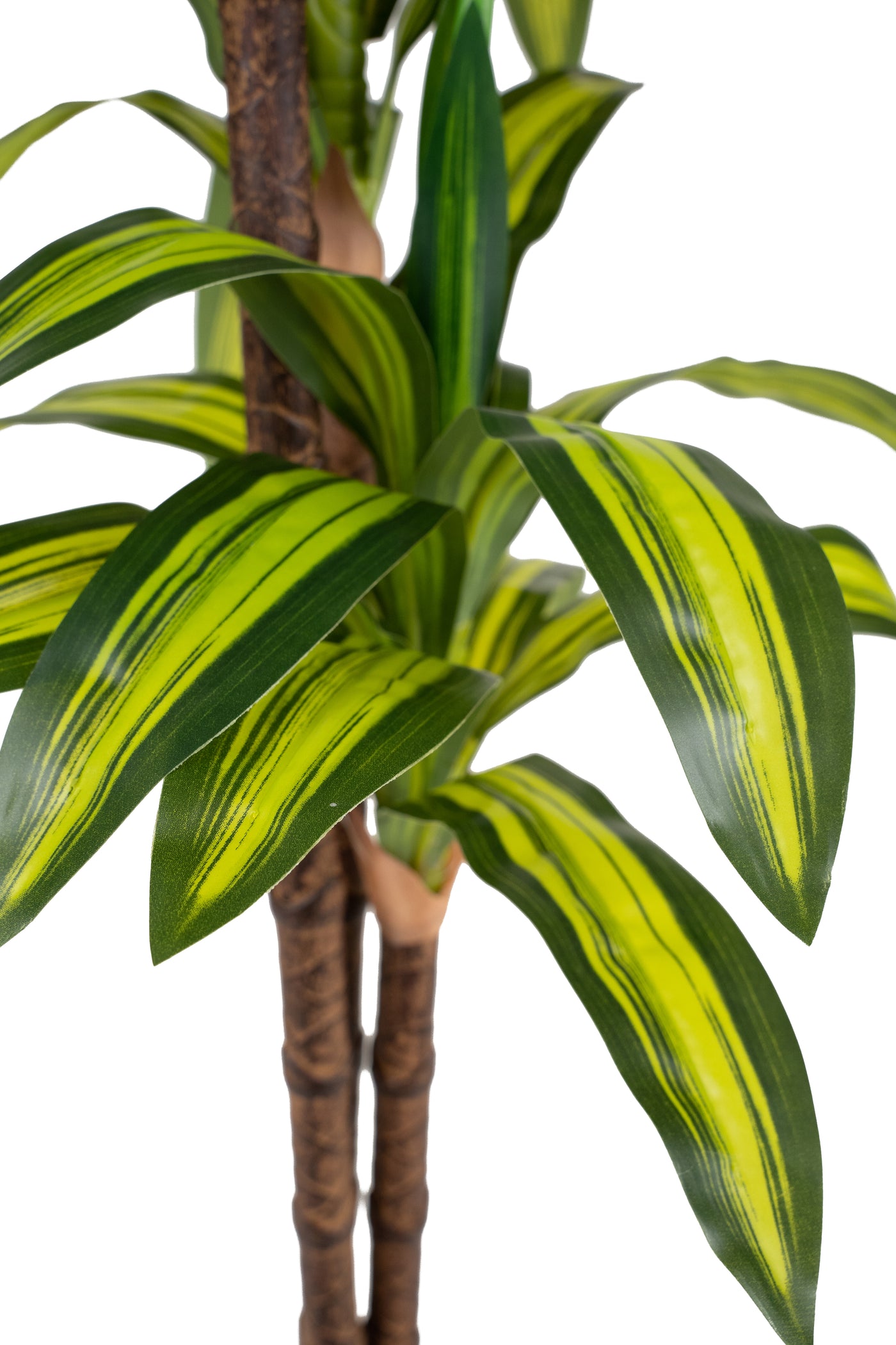 Dracaena artificiala cintho cu 54 frunze H120cm